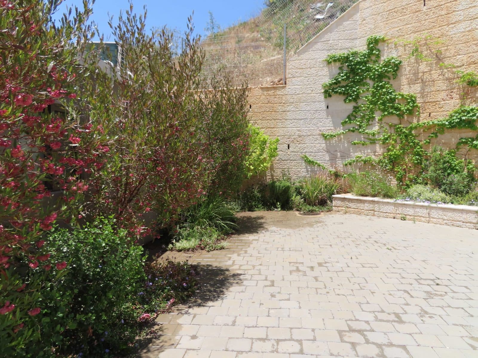 קמפוס פנינת השמחה 